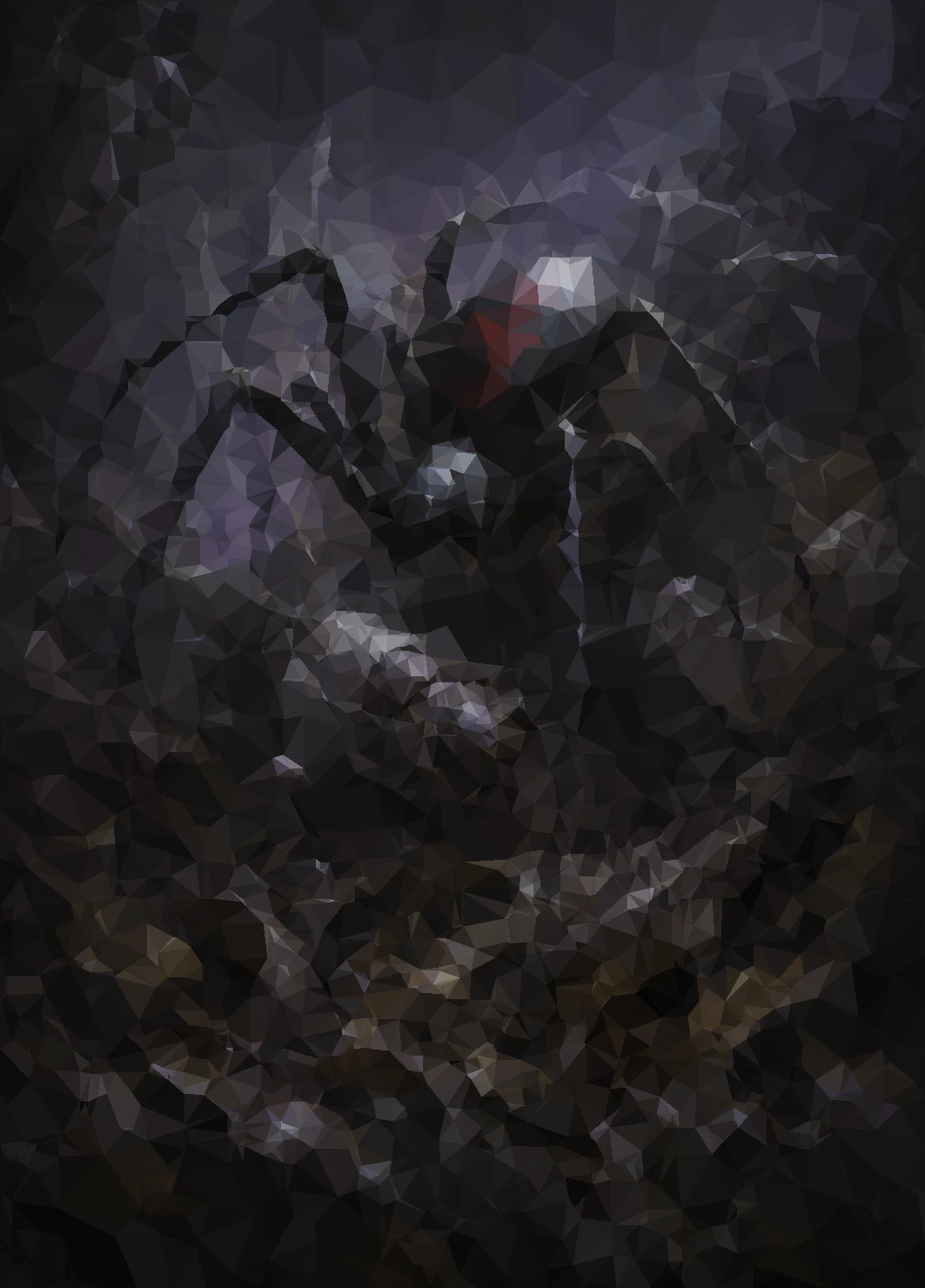 Widow Spider Trapper suspended among webs above a rocky forest floor