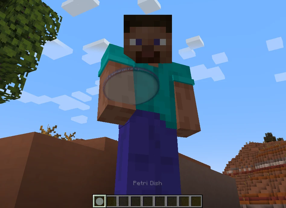 Minecraft development screenshot showing Steve holding a petri dish beside the item inventory